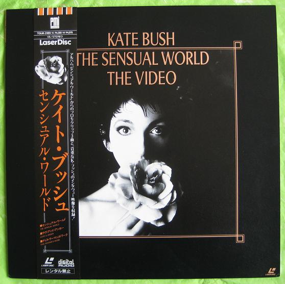 Bush, kate - The Sensual World - Videos