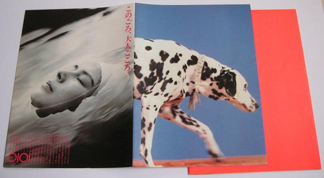 Japan 1989 Tour Book