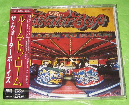 Waterboys - Room To Roam
