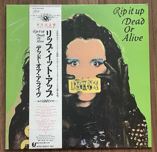 Dead Or Alive Rip It Up