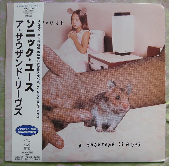 THOUSAND LEAVES (2LP - Sonic Youth
